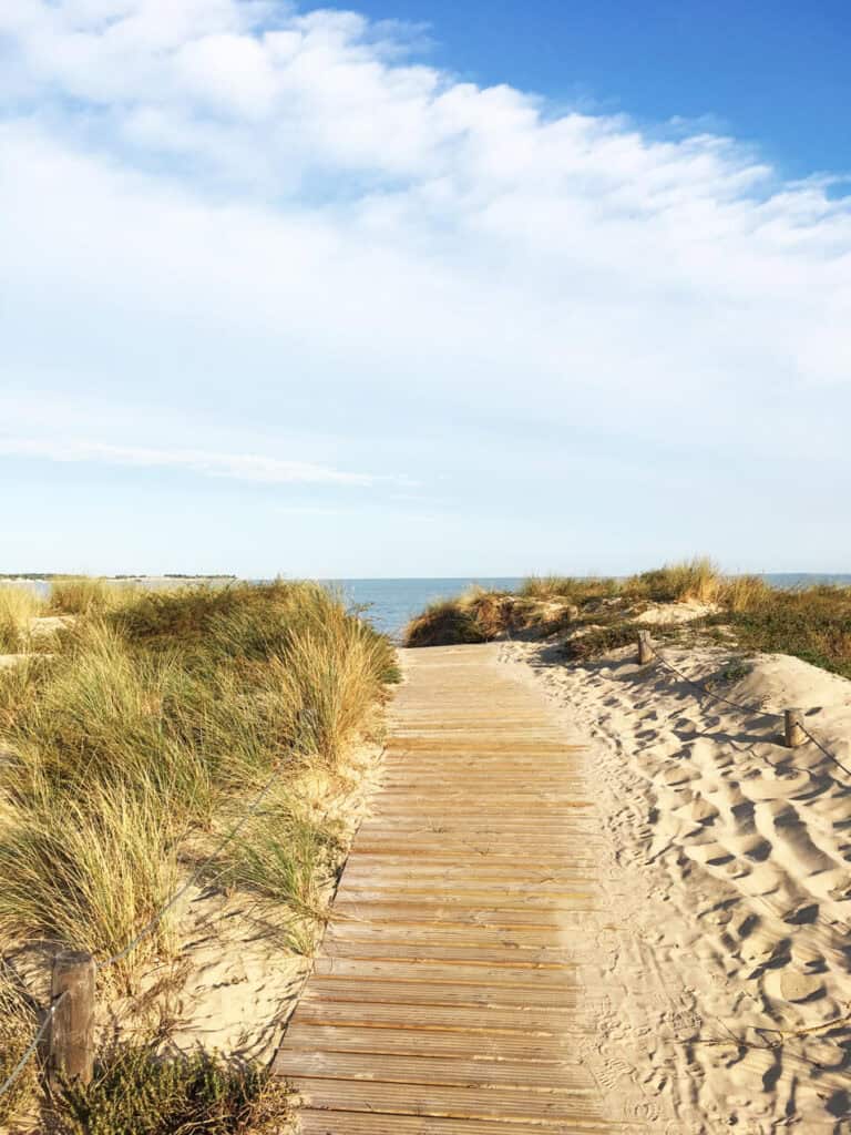 View over ile de re